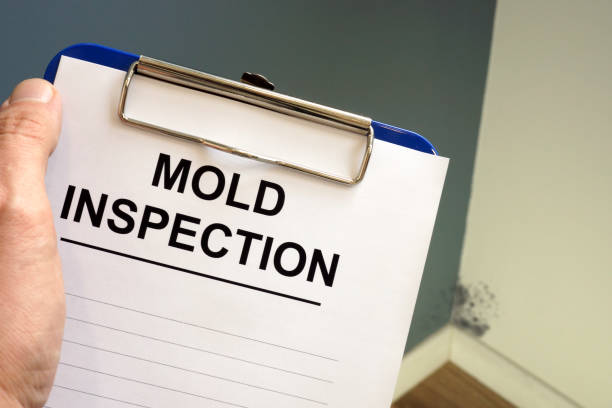 Mold Documentation for Insurance Claims in Rice, TX